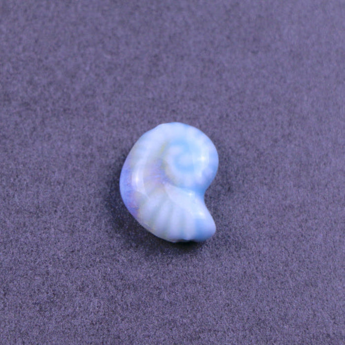 21mm Ceramic Nautilus Shell Bead - Sky Blue***