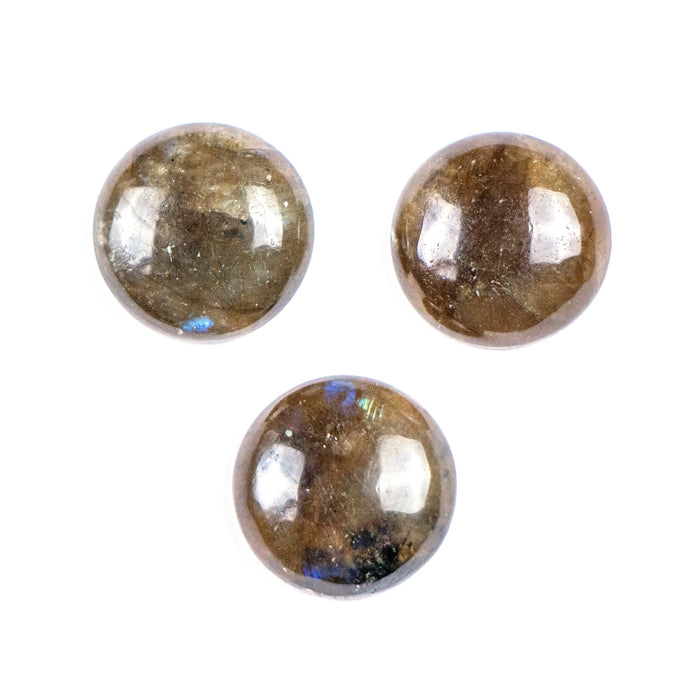 13mm Labradorite Circle Cabochon***